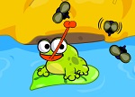 Frog's Snack